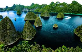 Souvenir Khas yang Harus Dimiliki Saat Melakukan Tour Raja Ampat